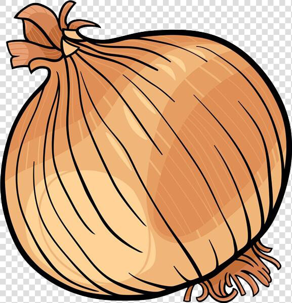 Onion Clipart Fruit Vegetable   Onion Black And White  HD Png DownloadTransparent PNG