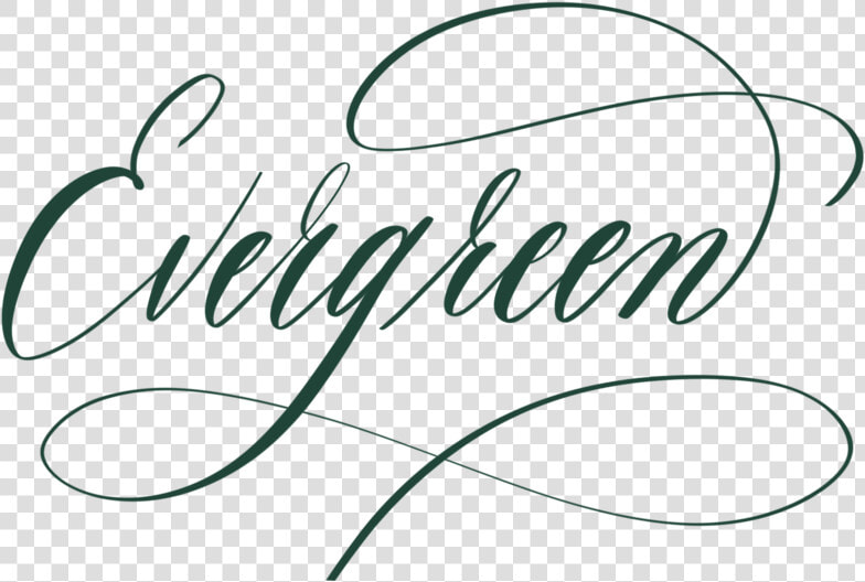 Evergreen In Calligraphy   Calligraphy  HD Png DownloadTransparent PNG