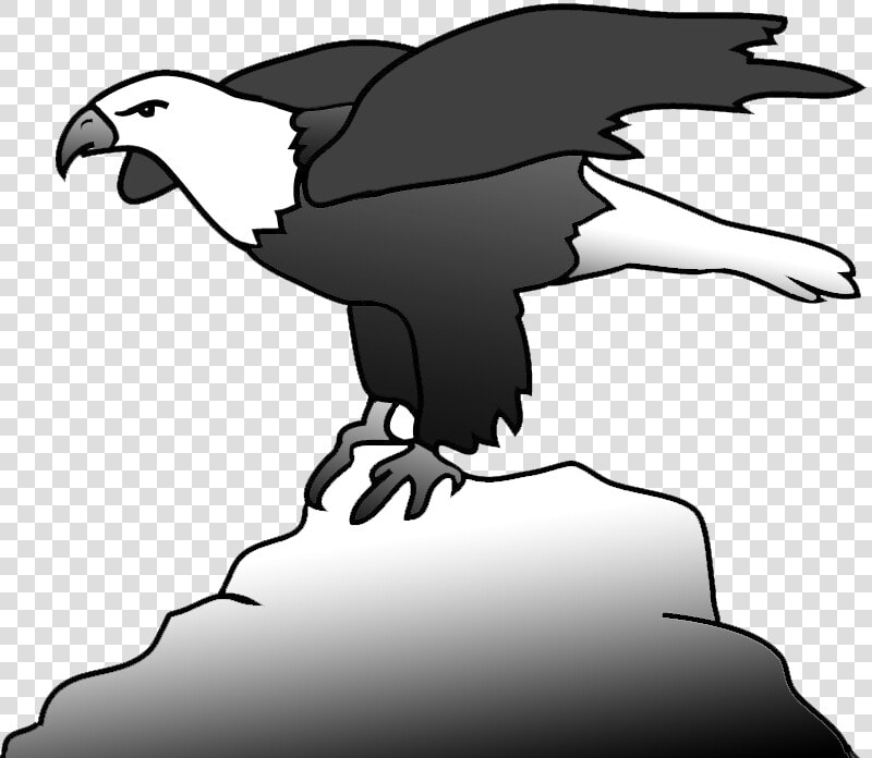 Bald Eagle On A Rock Clipart   Bald Eagle  HD Png DownloadTransparent PNG