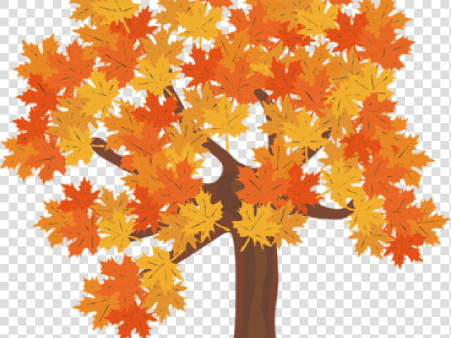 Fall Trees Clipart   Fall Tree Transparent Background  HD Png DownloadTransparent PNG