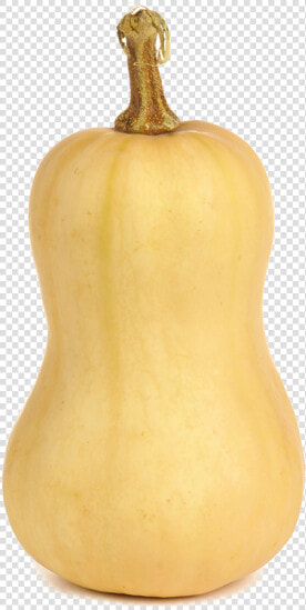 Butternut Squash Transparent Background  HD Png DownloadTransparent PNG