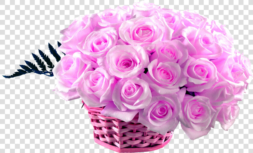 50 Pink Roses Basket   Pink Rose Rose Hd Wallpaper Download  HD Png DownloadTransparent PNG