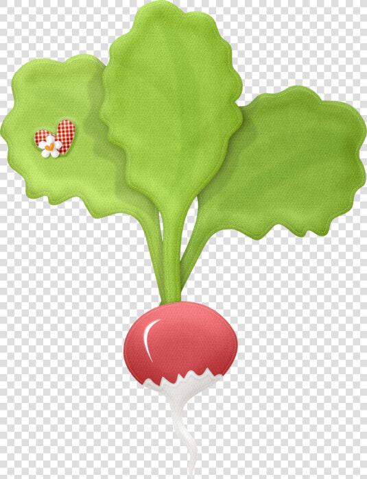 Thumb Image   Radish  HD Png DownloadTransparent PNG