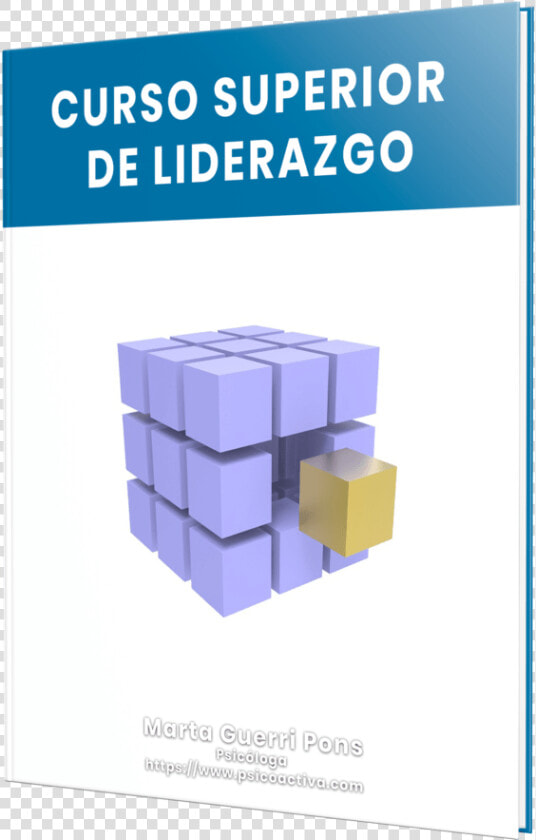 Programa Superior De Liderazgo   Libre De Droit Gratuit  HD Png DownloadTransparent PNG