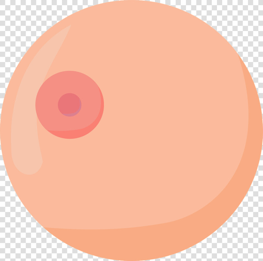 Boobs Boob Krūtys   Boob Vector  HD Png DownloadTransparent PNG