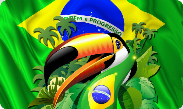 Brazil Flag With Toco Toucan Doormat 30 X18   Toco Toucan With Brazil Flag  HD Png DownloadTransparent PNG