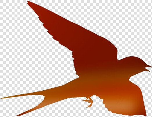 Transparent Flying Bird Png   Silhouette Swallow Bird Png  Png DownloadTransparent PNG