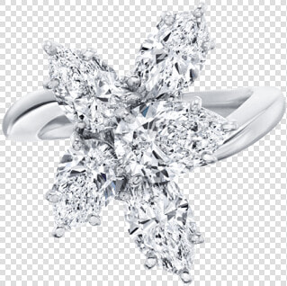 Winston™ Cluster By Harry Winston  Large Diamond Ring   Harry Winston Diamond Cluster Ring  HD Png DownloadTransparent PNG