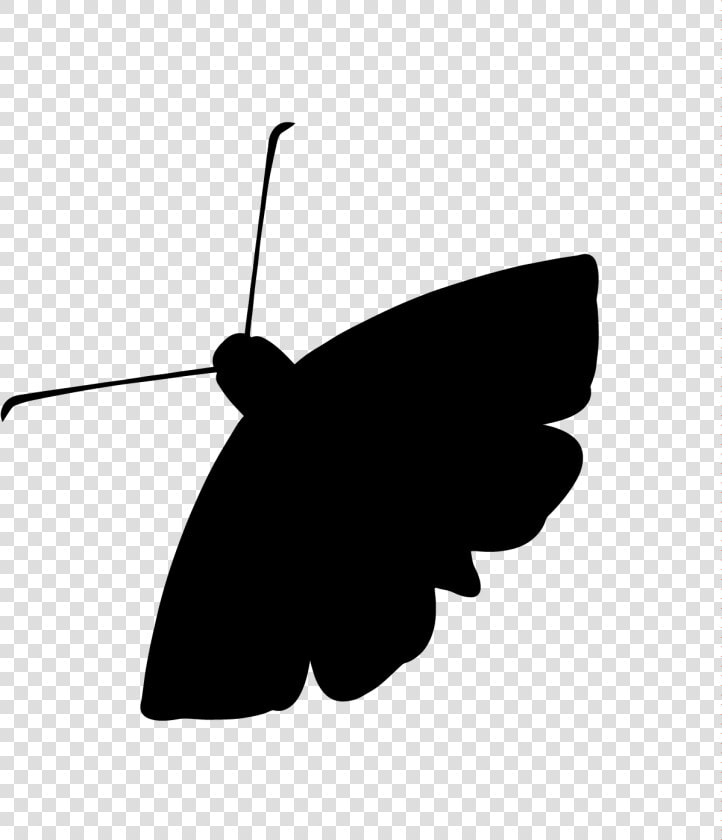 Mission Control Moth Lands  Programs Saved Npr Illinois   Moth Radio Hour Logo  HD Png DownloadTransparent PNG