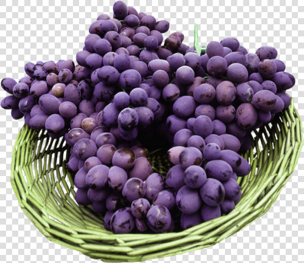 Corbeille De Raisin   Organic Compounds In Grapes  HD Png DownloadTransparent PNG