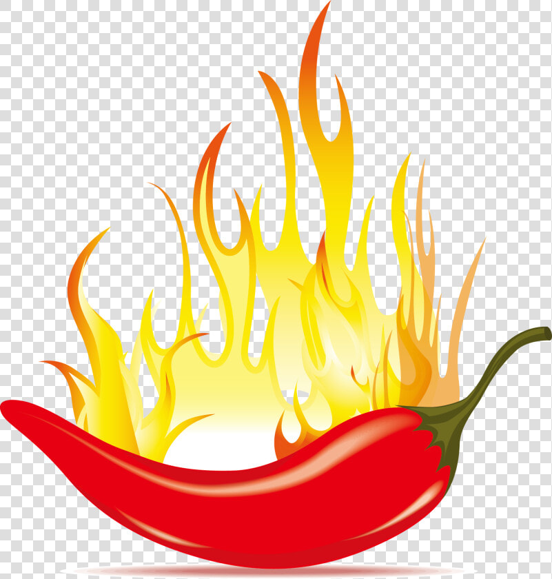 Chili Con Carne Chili Pepper Clip Art   Hot Chili Vector Png  Transparent PngTransparent PNG