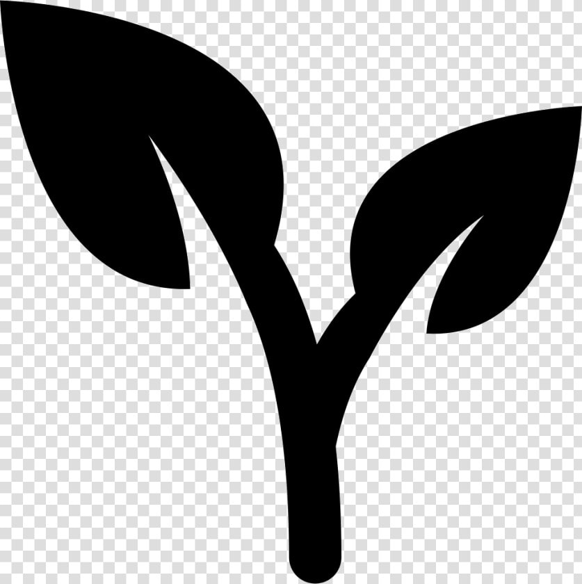 Leaves Of A Plant   Plant Icon Black And White  HD Png DownloadTransparent PNG