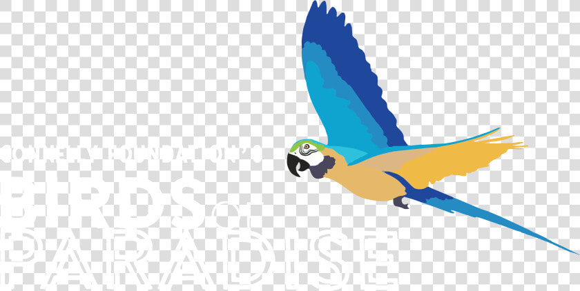 Alt Text   Macaw  HD Png DownloadTransparent PNG