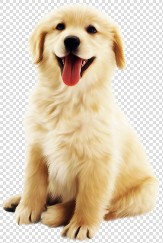 Cute Golden Pet Dog Png Download   Cute Dogs Transparent Background  Png DownloadTransparent PNG