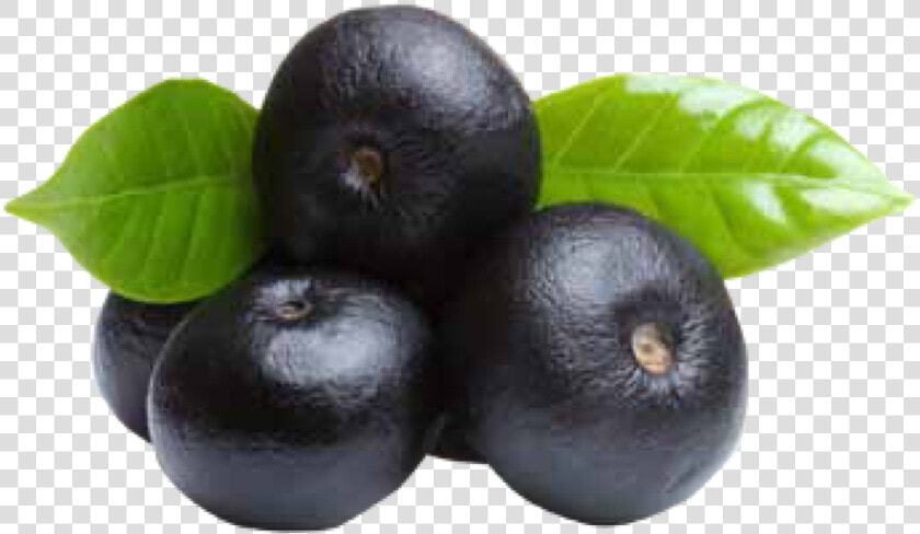 Transparent Acai Berry Png   Acai Berry  Png DownloadTransparent PNG