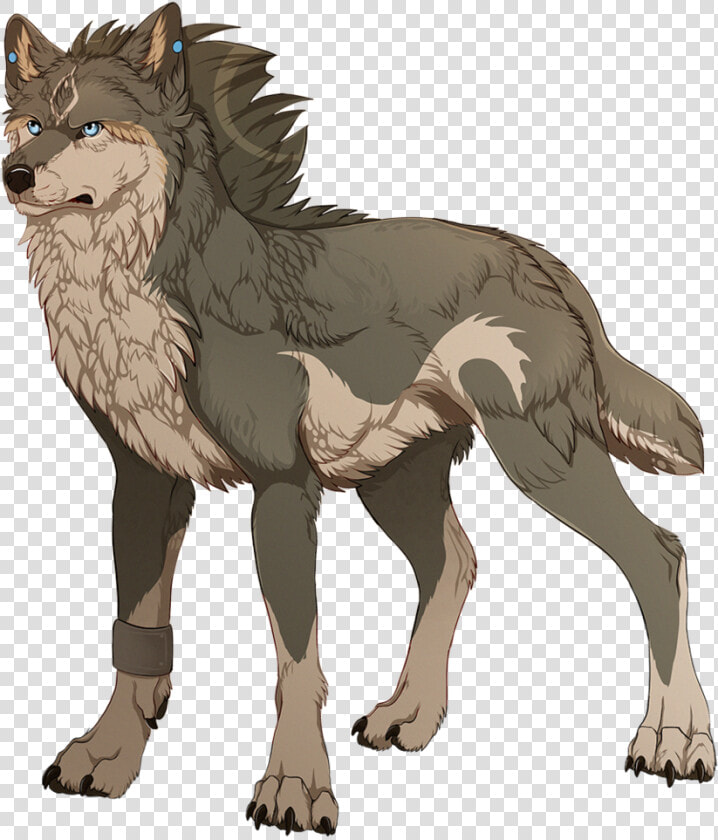 Male Anime Wolf Photo   Wolf Drawing Deviant Art  HD Png DownloadTransparent PNG