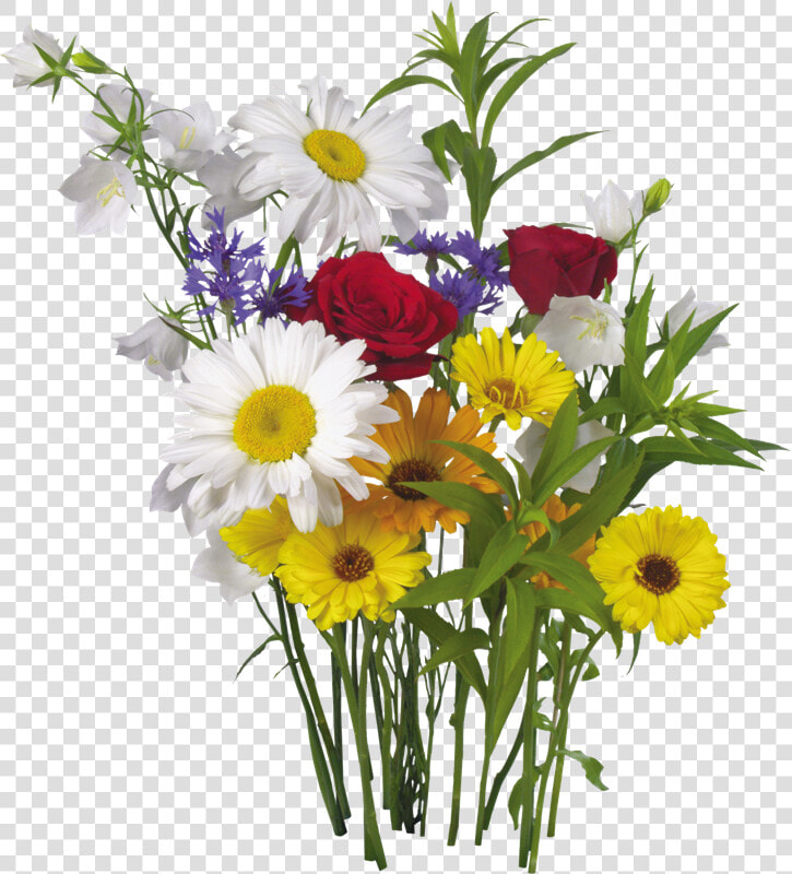 Mi Artista Favorito Es   Colour Flower And White Hd Background  HD Png DownloadTransparent PNG