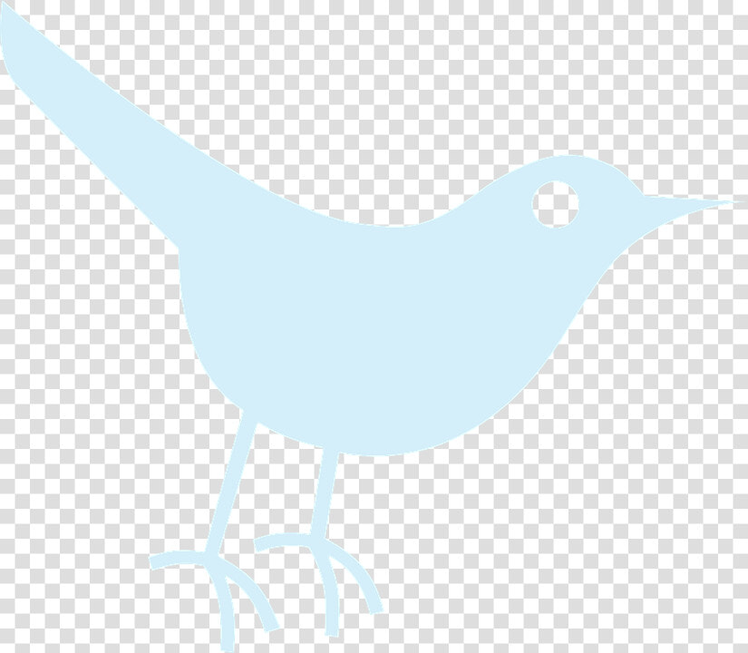 Twitter  Tweet  Bird  Blue  Sparrow  Animal   Social Media  HD Png DownloadTransparent PNG