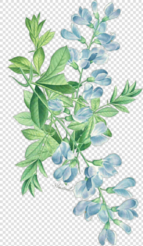  ftestickers  watercolor  floral  leaves  greenery   Watercolor Leaf Corner Png  Transparent PngTransparent PNG