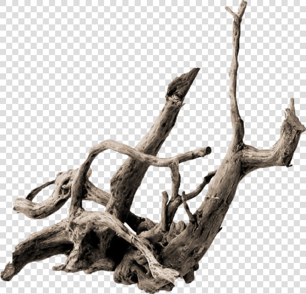 Thumb Image   Driftwood Png  Transparent PngTransparent PNG