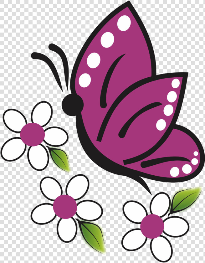 Imagenes Variadas Gratis  HD Png DownloadTransparent PNG