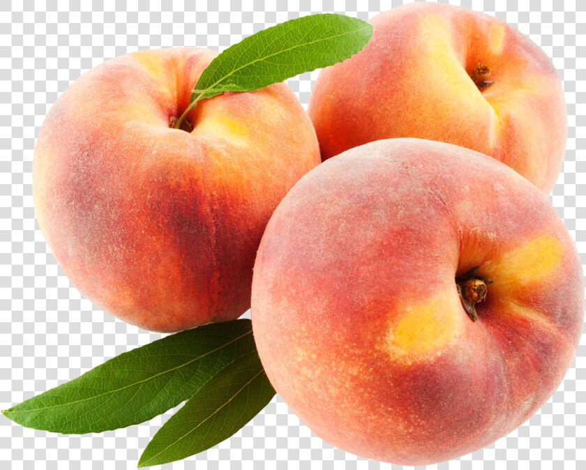 Peach Fruits With Leaf Png Image   Fruits Png  Transparent PngTransparent PNG