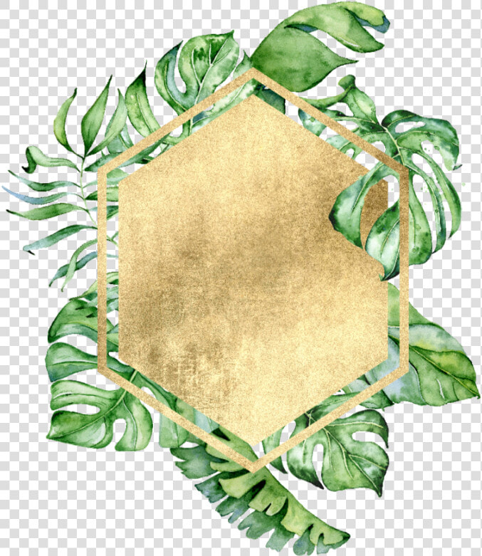  freetoedit  overlay  watercolor  colorful  summer   Summer Leaf Borders Colorful  HD Png DownloadTransparent PNG