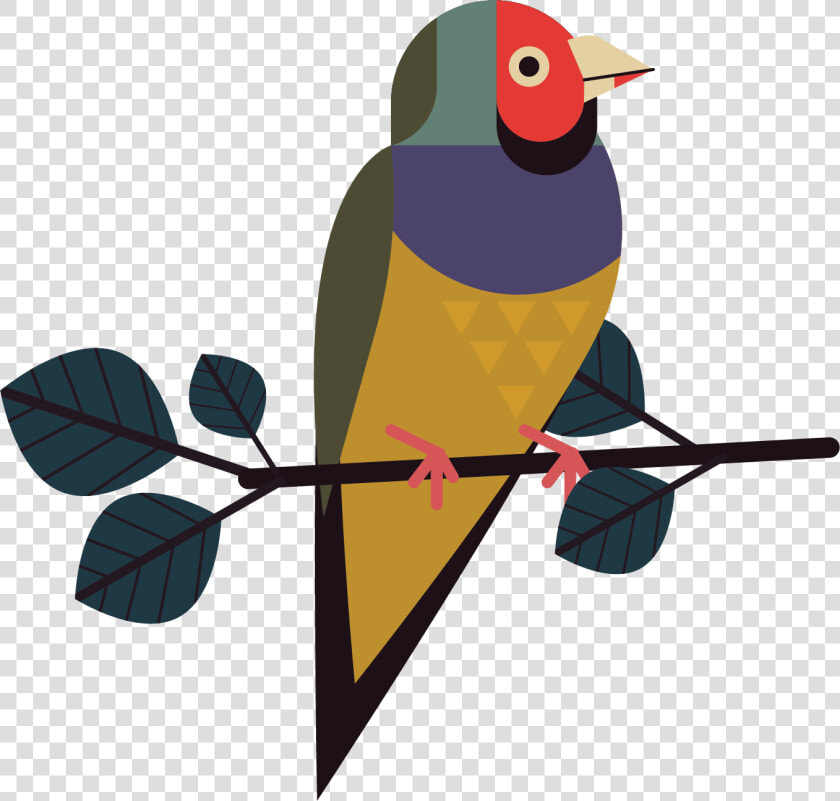 Perching Bird  HD Png DownloadTransparent PNG