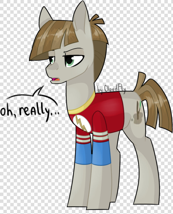 Cloud fly  Clothes  Mudbriar  Pony  Safe  Sheldon Cooper    Cartoon  HD Png DownloadTransparent PNG