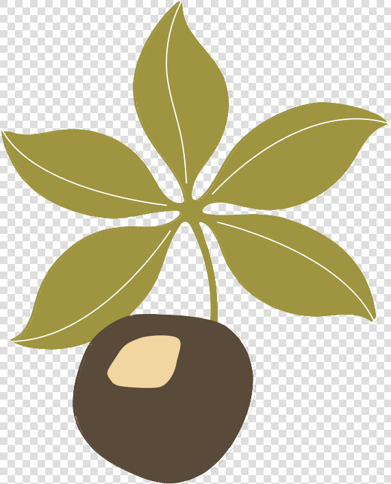 Transparent Ohio Clipart   Black And White Buckeye Leaf  HD Png DownloadTransparent PNG