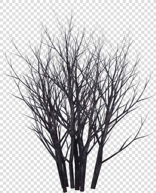 Shrubs Png Black And White   Monochrome  Transparent PngTransparent PNG