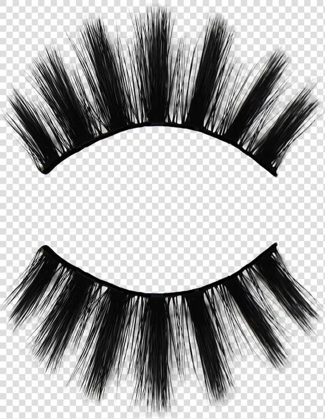 Eyelash Extensions  HD Png DownloadTransparent PNG