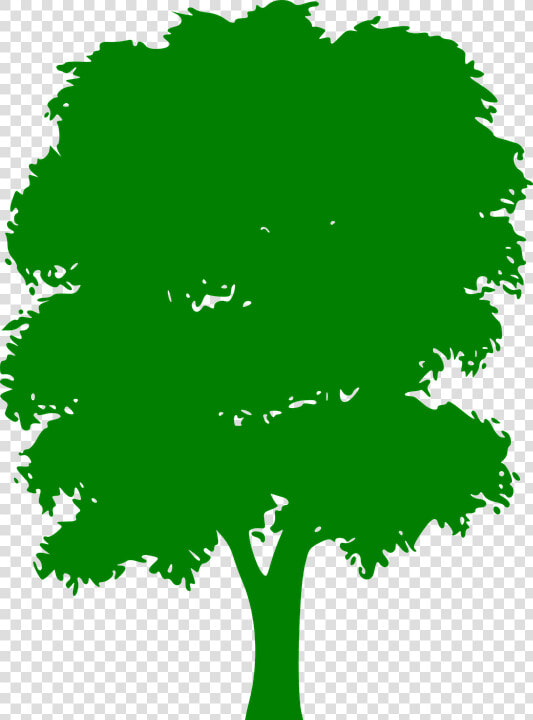 Tree  Green  Plain  Nature  Wood  Outside  Silhouette   Silhouette Tree Png Vector  Transparent PngTransparent PNG