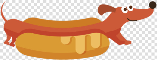 Hot Dog Wiener Dog  HD Png DownloadTransparent PNG