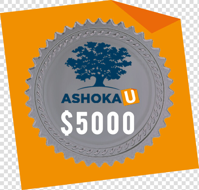 Ashoka Young Changemakers  HD Png DownloadTransparent PNG