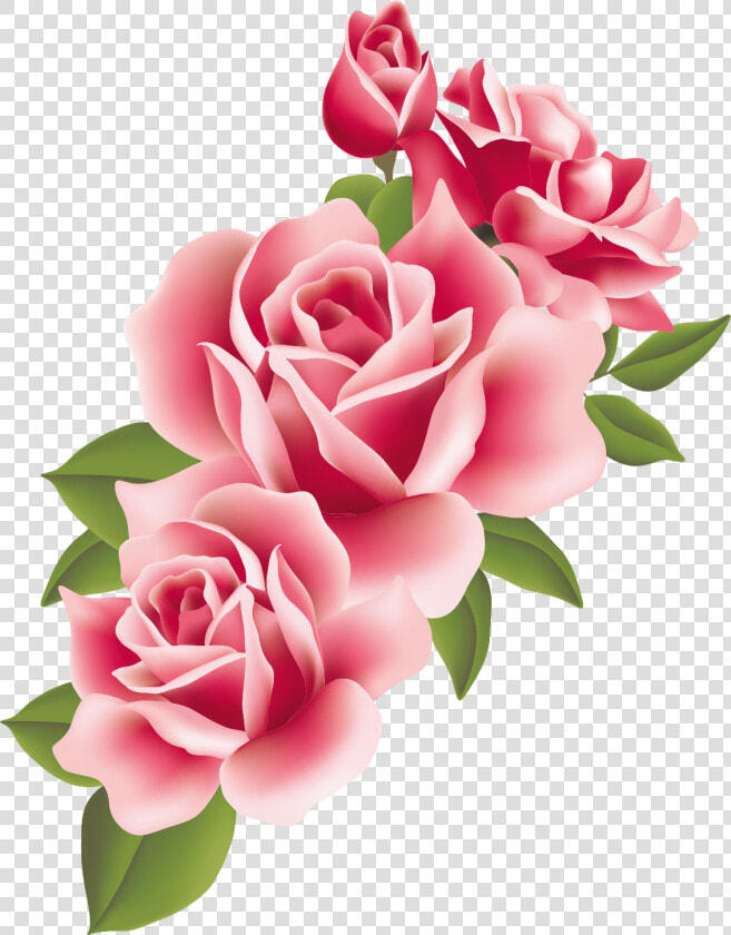 Http     store1   Up 00   Com 2016 07    Transparent   Transparent Pink Roses Border  HD Png DownloadTransparent PNG