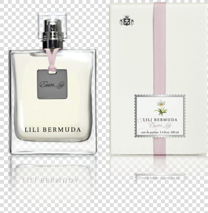 Lili Bermuda Navy  HD Png DownloadTransparent PNG