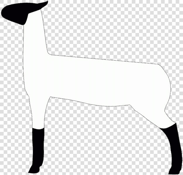 Lamb Show Clip Art  HD Png DownloadTransparent PNG