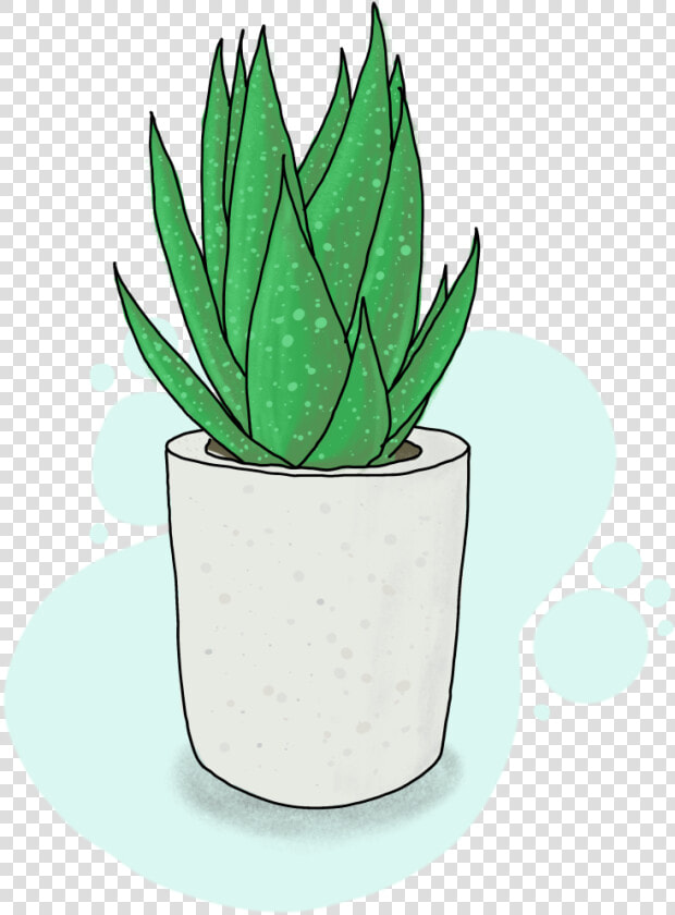 Flowerpot  HD Png DownloadTransparent PNG