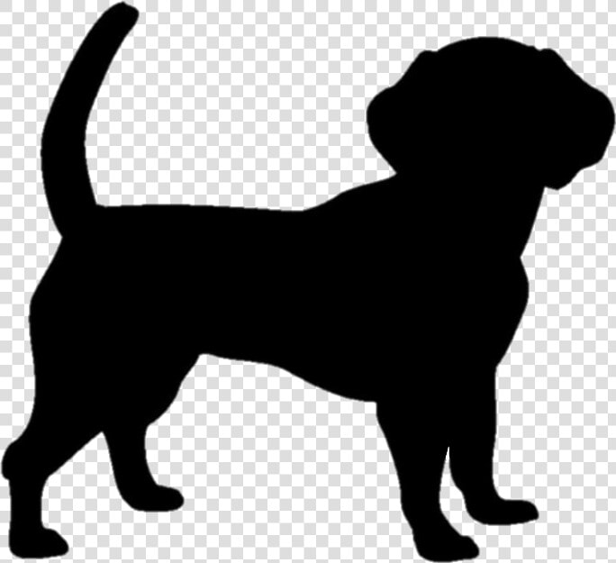 Dog Clipart Dog Cat Pet Dogs And Cats Png 684     Dogs And Cats  Transparent PngTransparent PNG