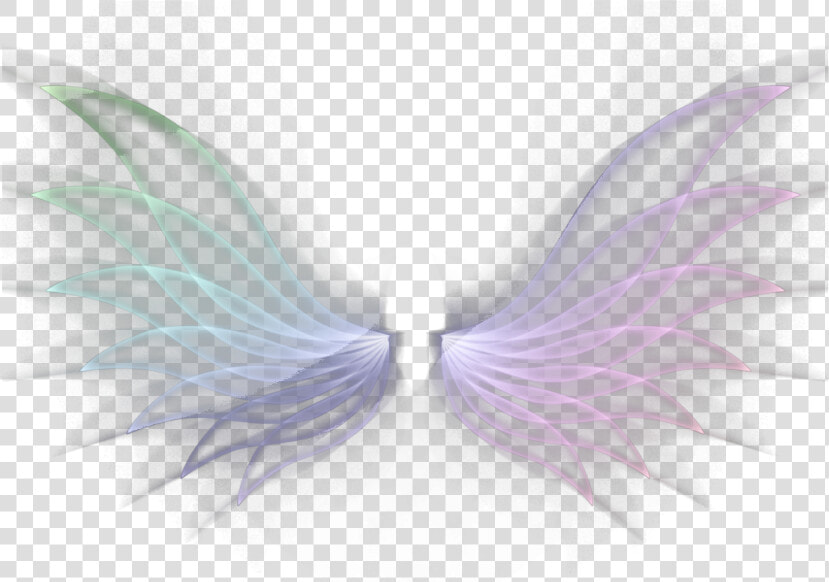  wings  neon  wing  angelwings  angels  angel  white   Fairy  HD Png DownloadTransparent PNG