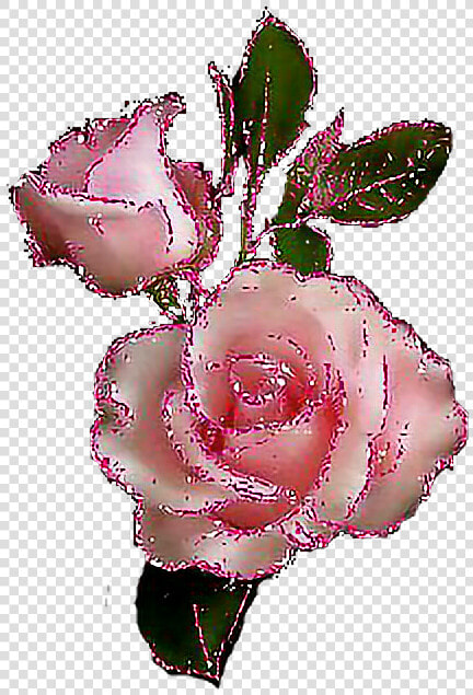  glitter  sparkle  rose   Glitter Roses Png  Transparent PngTransparent PNG