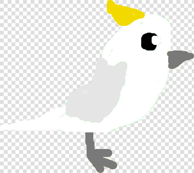 Cockatoo Png  Transparent PngTransparent PNG