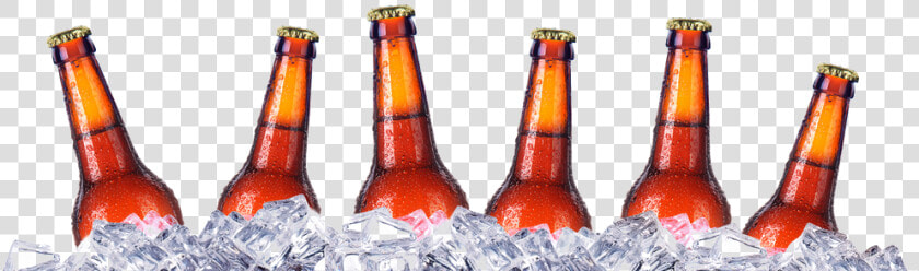 Cooler Beers  HD Png DownloadTransparent PNG