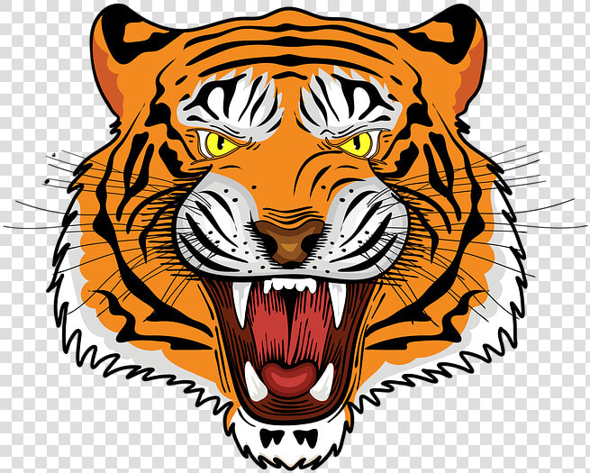 Tiger  Royal Bengal Tiger  Tiger Face  Angry Tiger   Tiger Logo  HD Png DownloadTransparent PNG