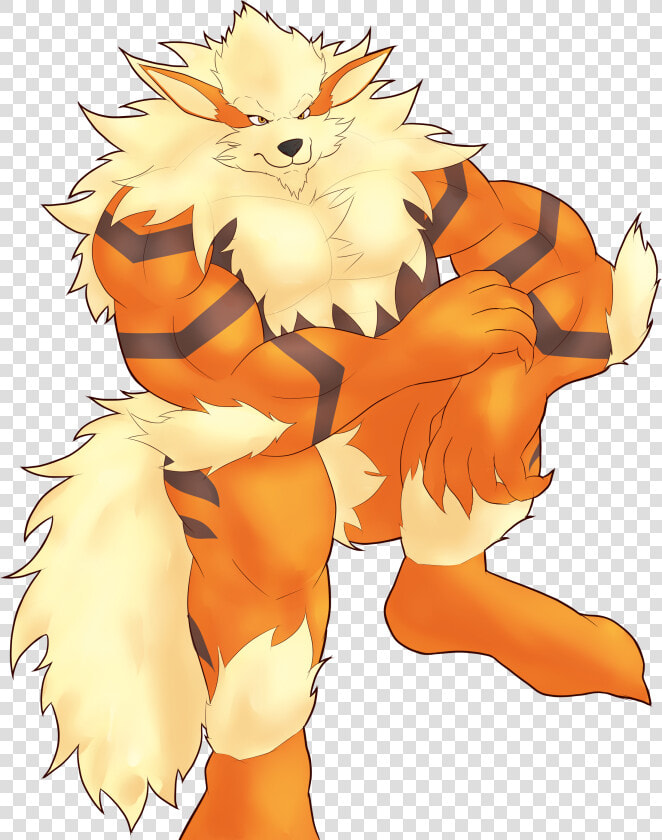 More Arcanine   Muscular Arcanine  HD Png DownloadTransparent PNG