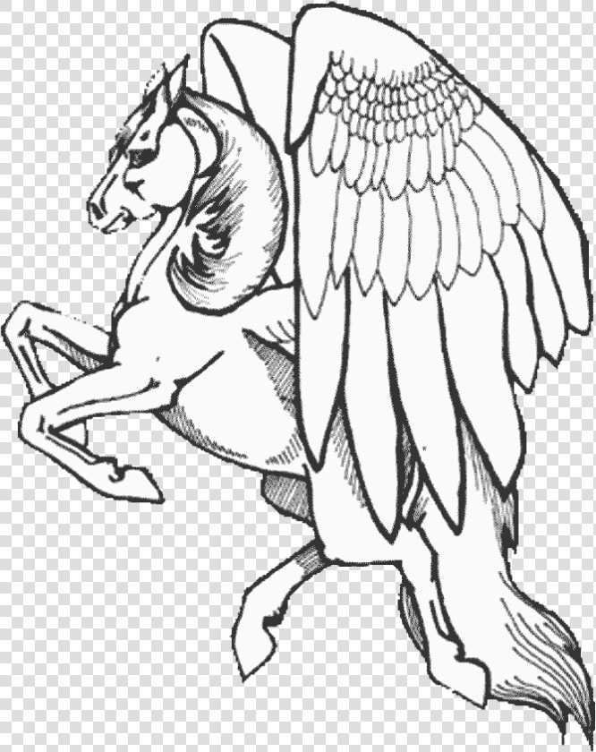 Pegasus Coloring Pages To Print   Pegasus Coloring Pages  HD Png DownloadTransparent PNG