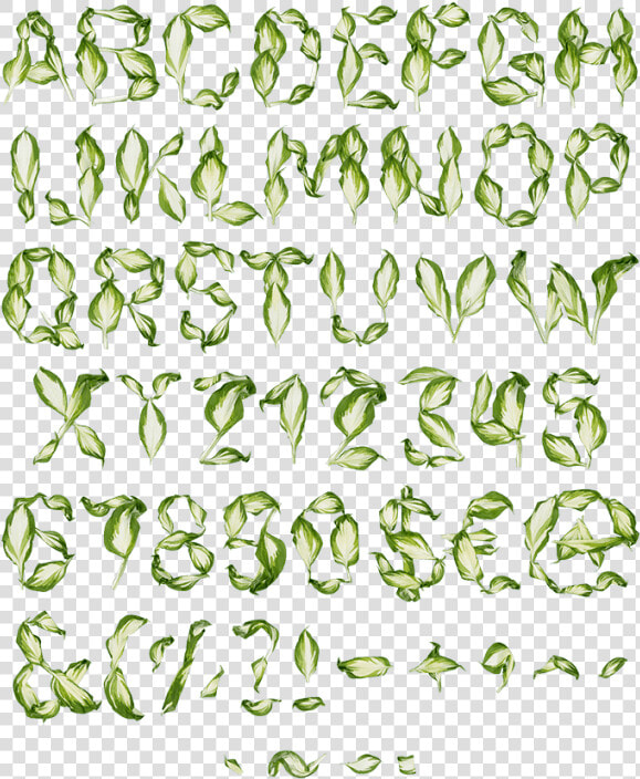 Pipal Leaves Font   Png Download   Leaves Font  Transparent PngTransparent PNG