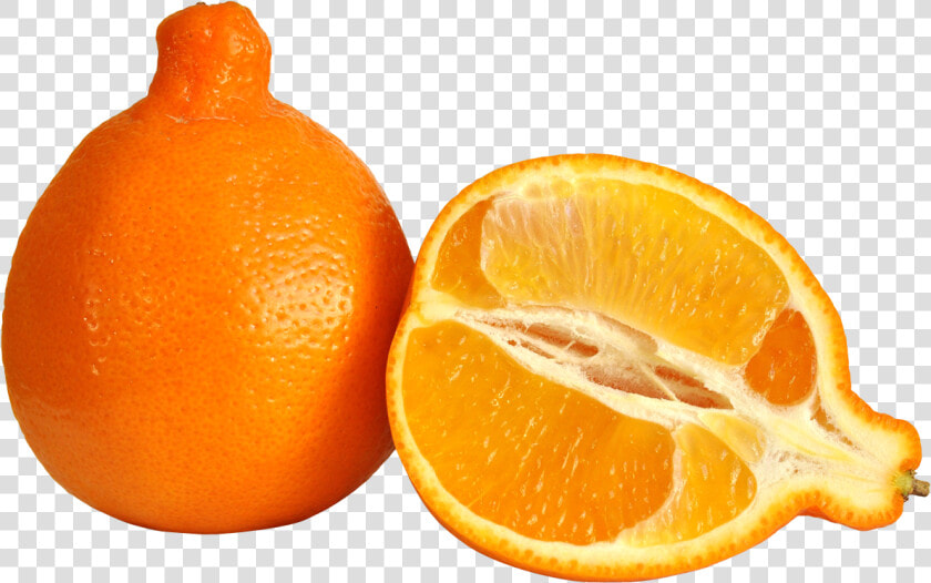 Minneola Orange   Transparent Cartoons   Tangerine Meaning In Urdu  HD Png DownloadTransparent PNG