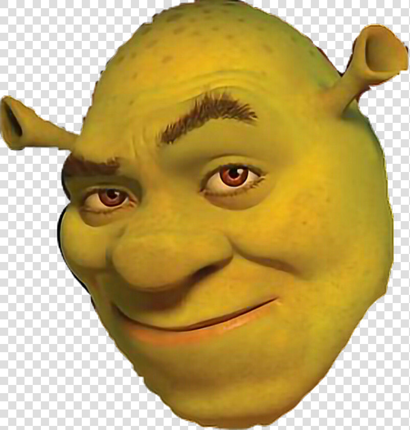 Shrek Face Png   Shrek Forever After  Transparent PngTransparent PNG